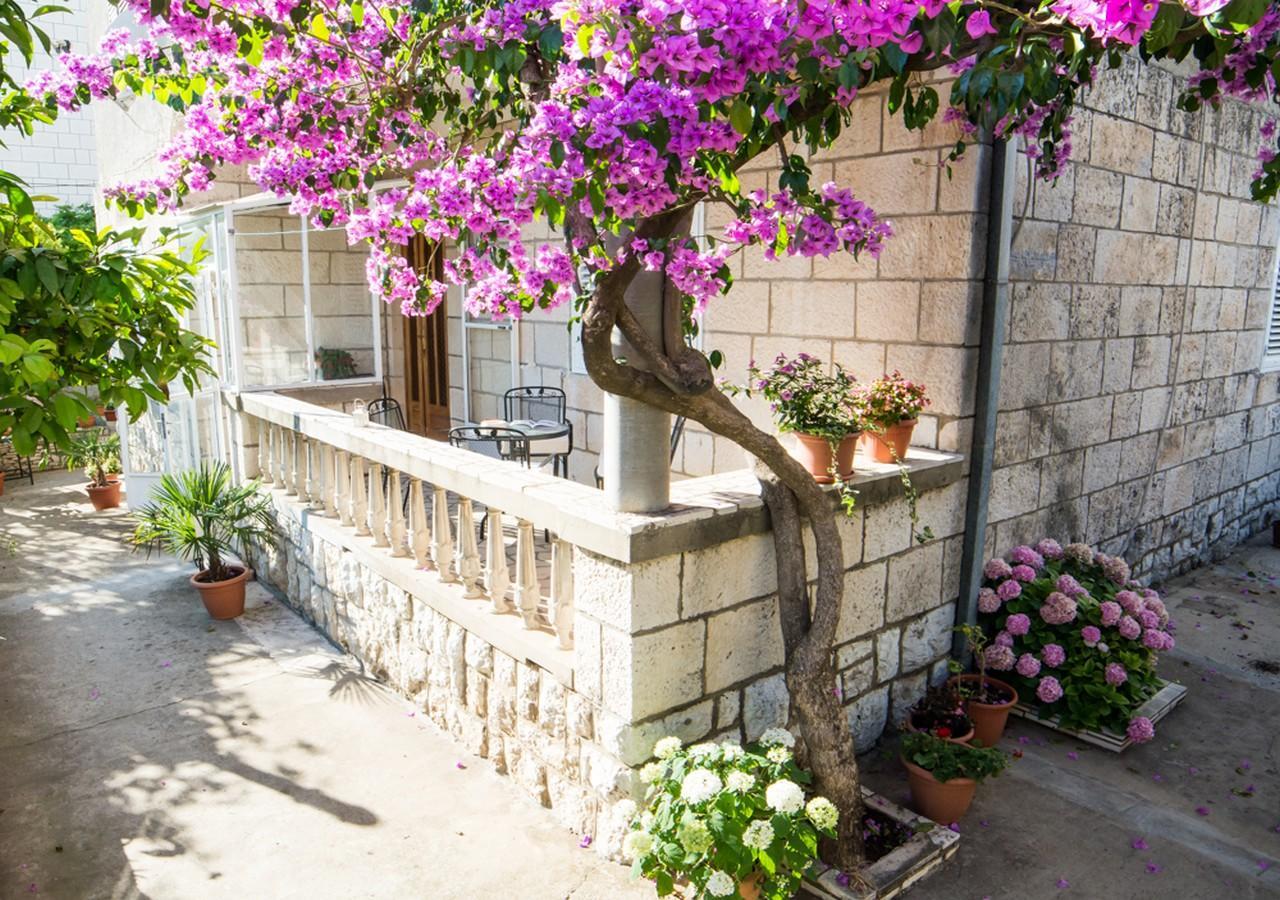 Apartments Bungevilla Dubrovnik Ngoại thất bức ảnh